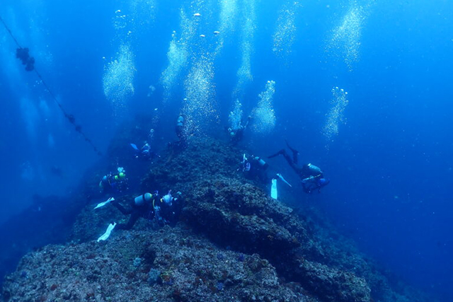 ボートポイント