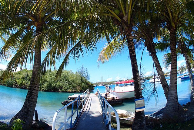 船が出る港も、南国な雰囲気。