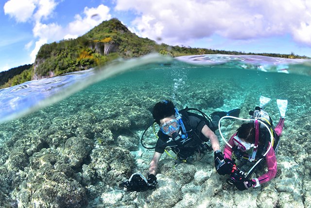 ビーチポイント ガンビーチ