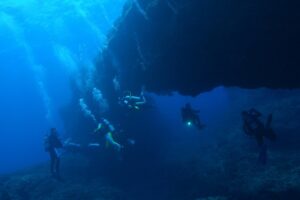 伊豆七島 八丈島ダイブツアー