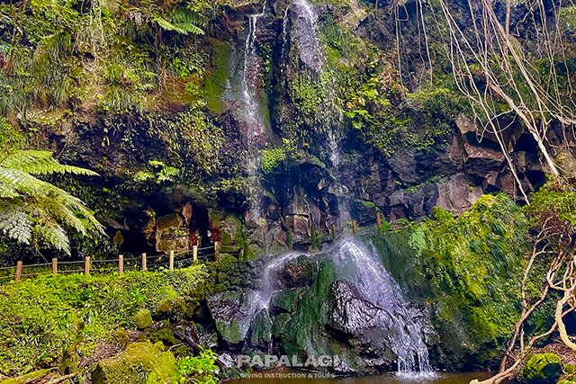 陸も自然が素晴らしい