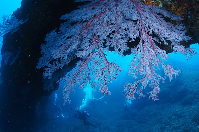 ダイナミックな地形