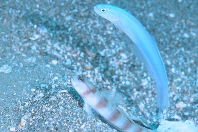 ひとつ穴の下ツアー