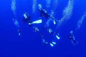 与那国島&emsp;'26/2/12〜15&emsp;渡邊
