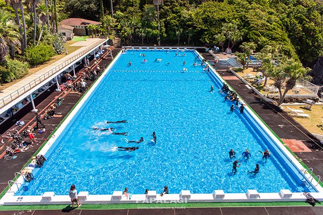 大きなプールも併設