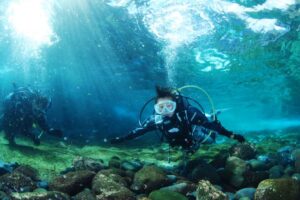 伊豆海洋公園(IOP)ビーチ