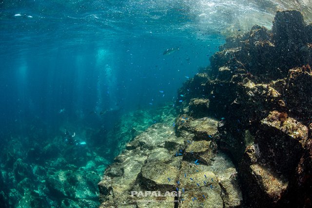 起伏のある大迫力の地形