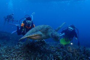 西表島&emsp;'25/10/23〜26&emsp;藤田