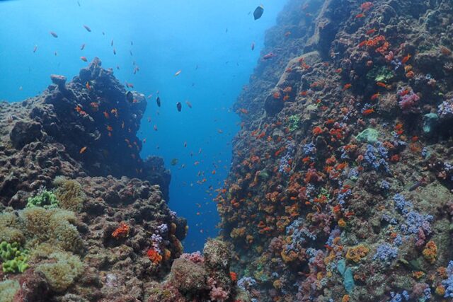 カラフルなダイナミックな地形