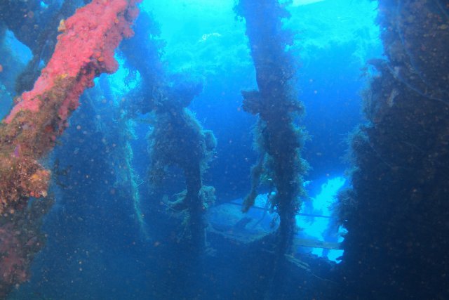 沈船の中から見上げたところ