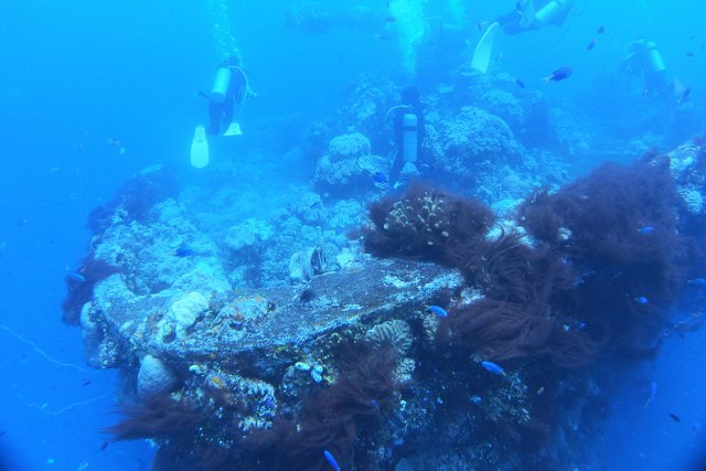 沈船とダイバー