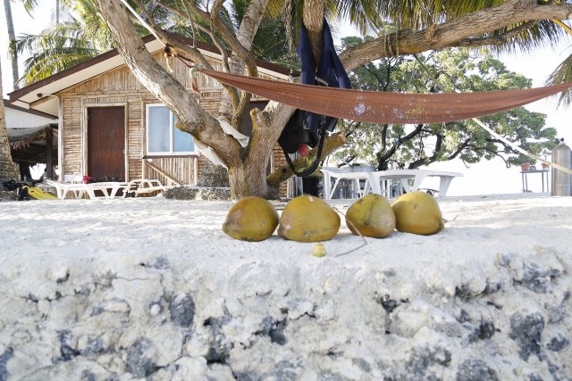 ハンモックに揺られてのんびり