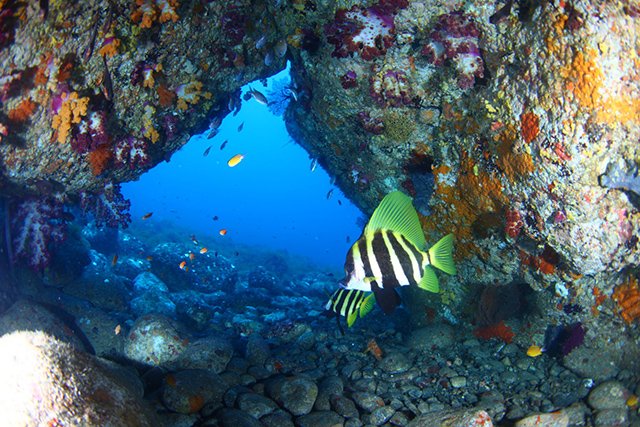 24アーチのテングダイ