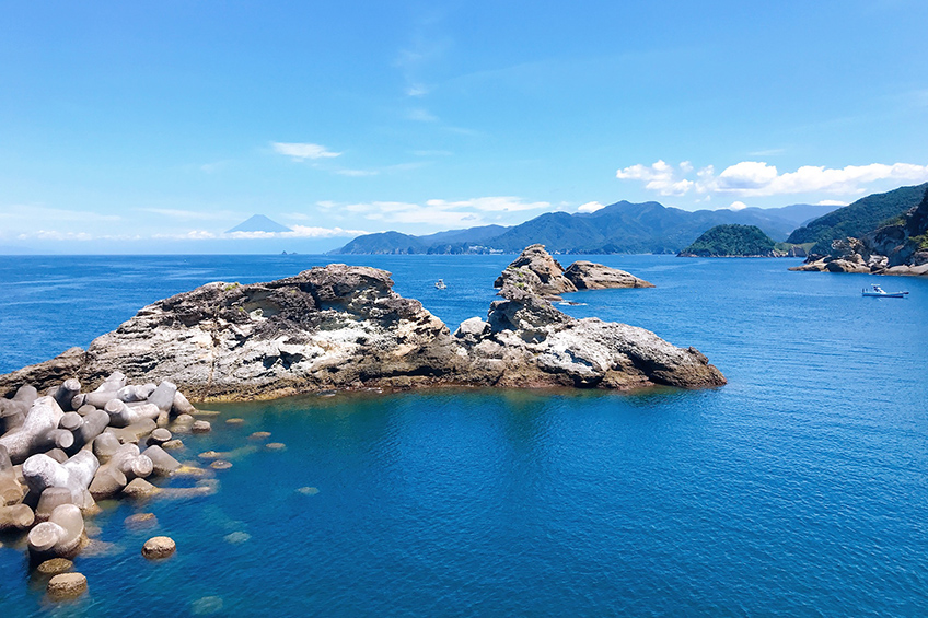 牛着岩と富士山