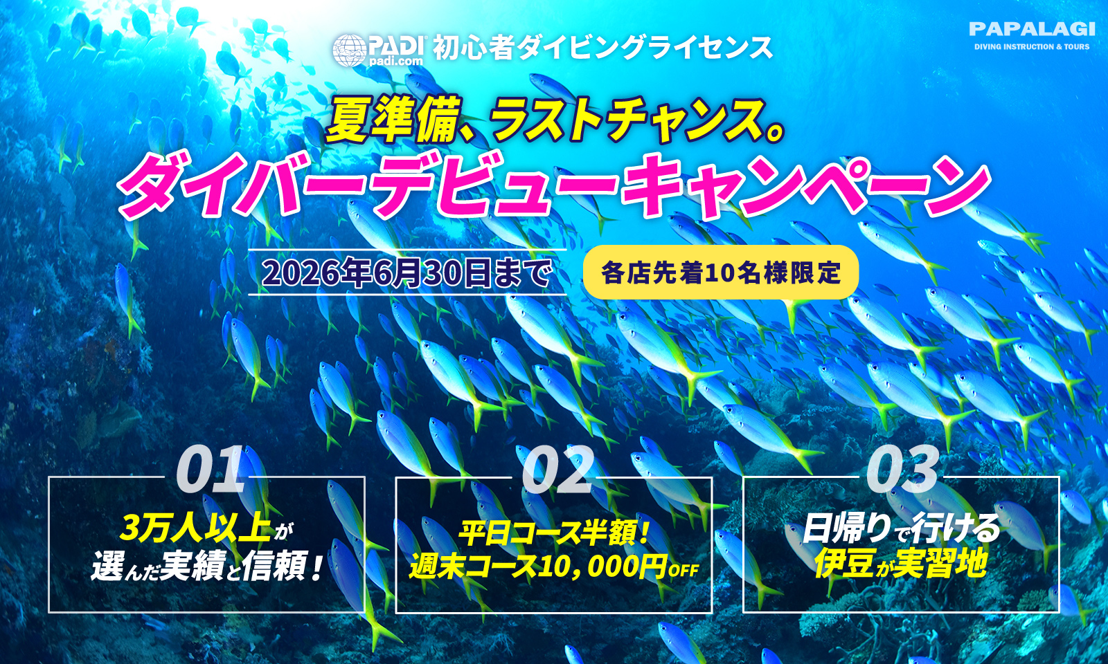 夏準備、ラストチャンス。ダイバーデビューキャンペーン