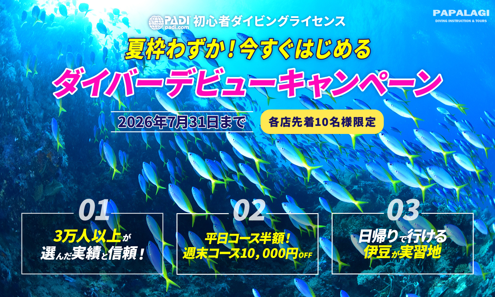 夏枠わずか！今すぐ始める ダイバーデビューキャンペーン