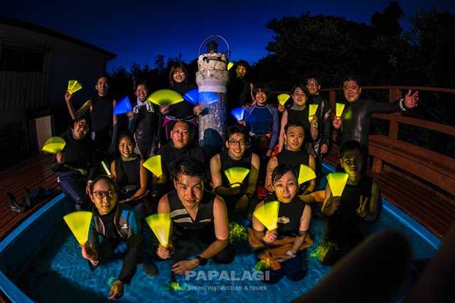 ナイトダイビングは幻想的