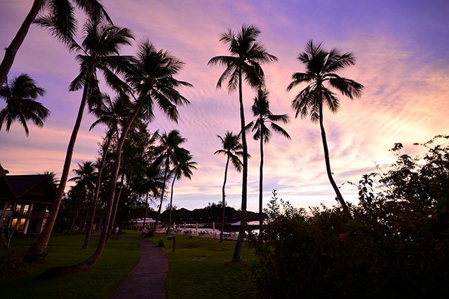 南国の夕日とヤシの木の影は、やっぱりリゾート気分を盛り上げてくれます