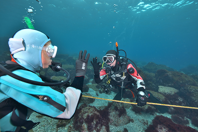 午後はファンダイブ