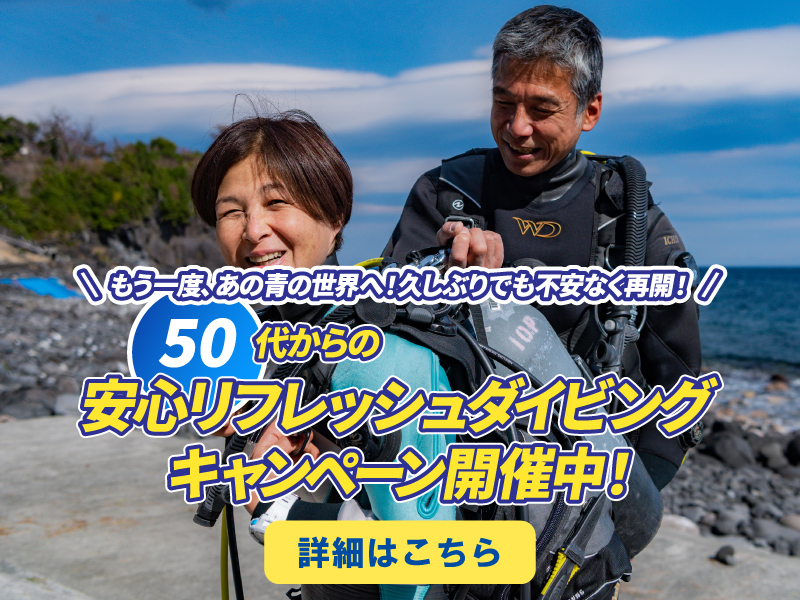 50代からのリフレッシュダイビングキャンペーン 詳細はこちら