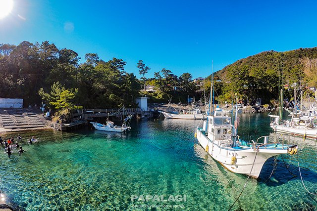 水慣れをする富戸港内