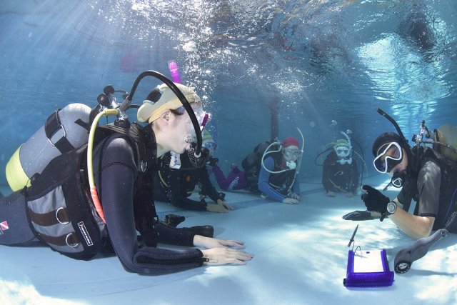 浅場で呼吸練習