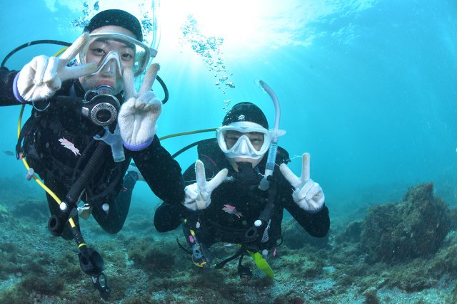 午後はファンダイブ