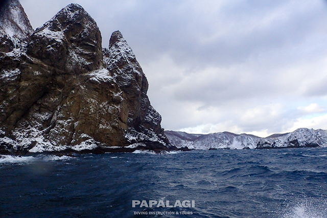 エントリーエリア