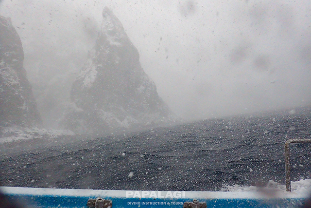 雪の中でエントリー