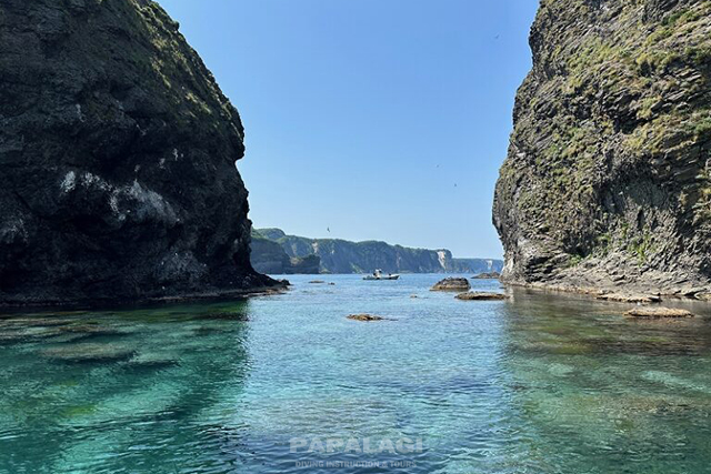 船の上から楽しむ積丹ブルー