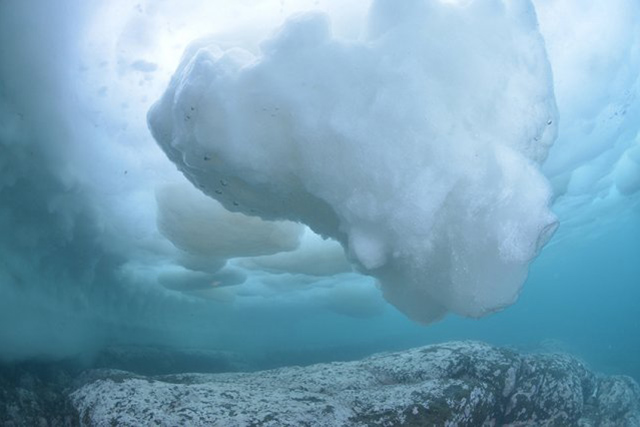 氷の厚さによって光の差し込み具合が変わる水中はとても神秘的