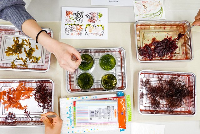 素敵な作品が出来上がってきています。