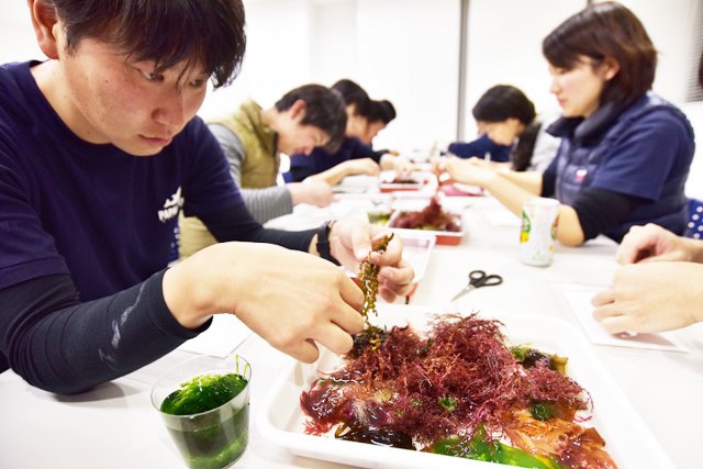 まずは海藻選びから
