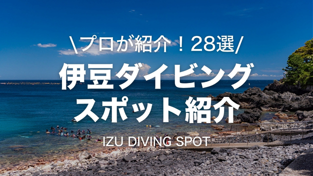伊豆ダイビングスポット紹介