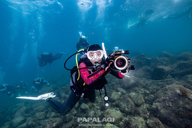 素敵な写真が撮れたかな？