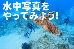 アンダーウォーターフォトツアー