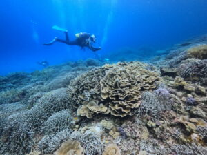 渡嘉敷島&emsp;'26/5/21〜24&emsp;栗原