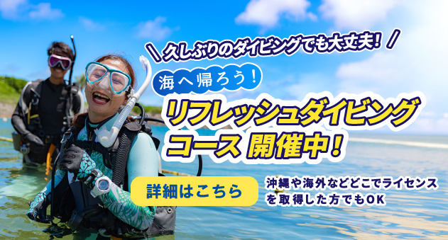 リフレッシュコース