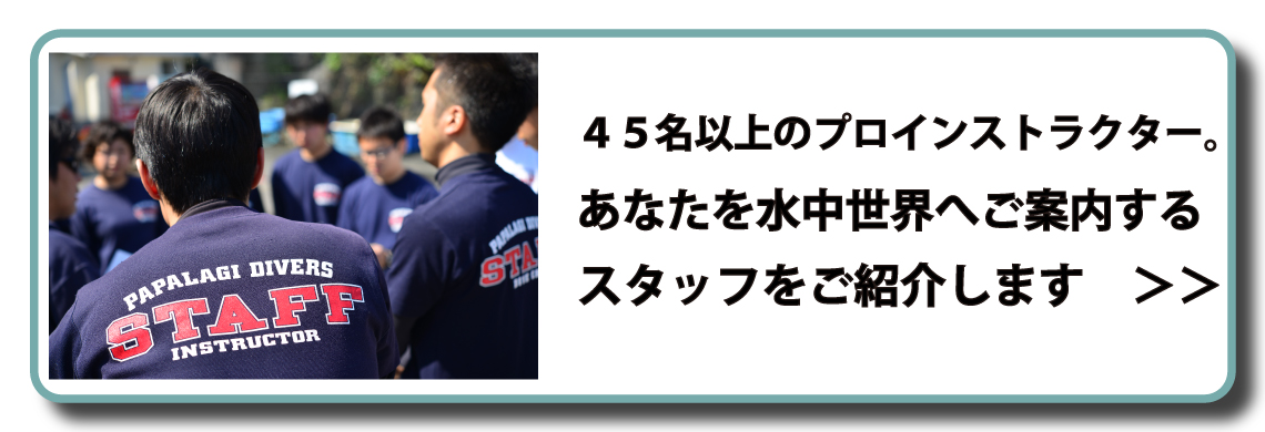 スタッフ紹介はこちら