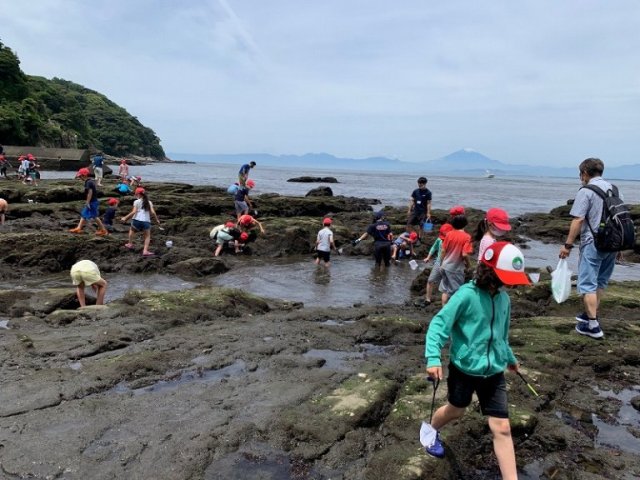 富士山を見ながら観察会