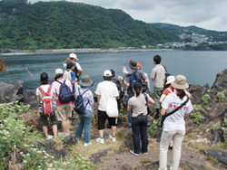 NPOパパラギ“海と自然の教室”