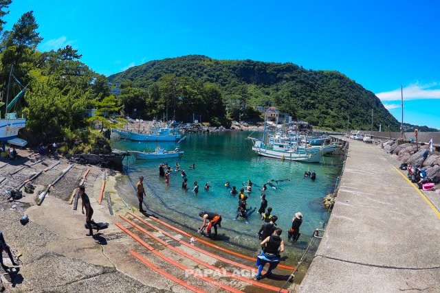 港内で水慣れとクールダウン