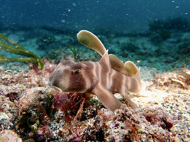 町田店