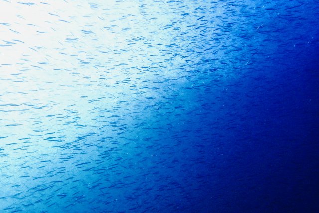 東京店